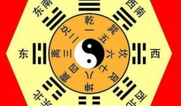 八卦语音文字爆料大全最新,揭秘娱乐圈最新动态与幕后故事